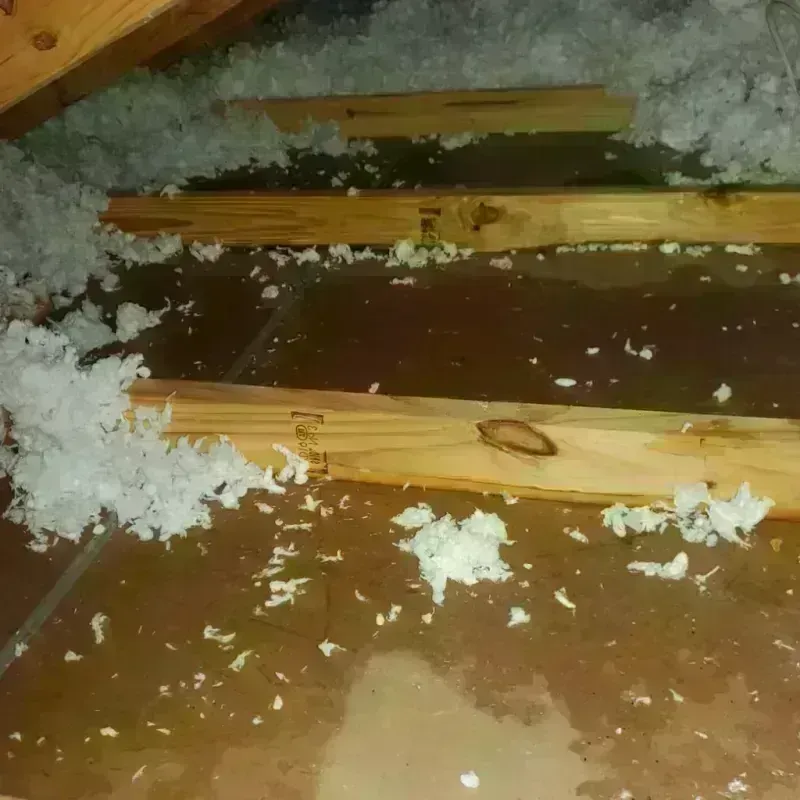 Attic Water Damage in Waterford, CT